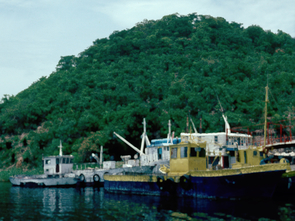 Lake Tanganyika’s industrial “purse seine” fishing fleet operated in the late 20th century but became uneconomical when catches declined 10 to 15 years ago. People then adopted catamarans for fishing. (Photo: Andrew S. Cohen/UA) Lake Tanganyika’s industrial “purse seine” fishing fleet operated in the late 20th century but became uneconomical when catches declined 10 to 15 years ago. People then adopted catamarans for fishing. (Photo: Andrew S. Cohen/UA)